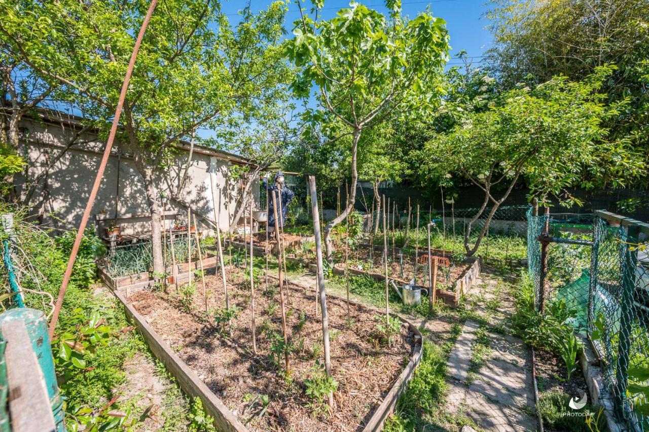 Selvatica50 B&B Nonantola Luaran gambar