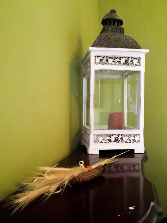 Selvatica50 B&B Nonantola Bilik gambar